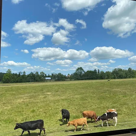 Pod Ostryszem 아파트 *